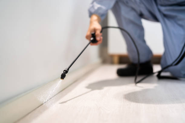 Licensed Cockroach Control service in Jenison, MI - Nex Pest Control